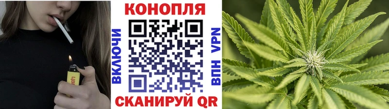 Где найти наркотики Жуковский Канабис  СК  ГАШ  MDMA  МЕФ  гидра как войти  АМФ 