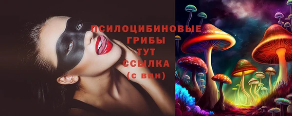 ECSTASY Алзамай