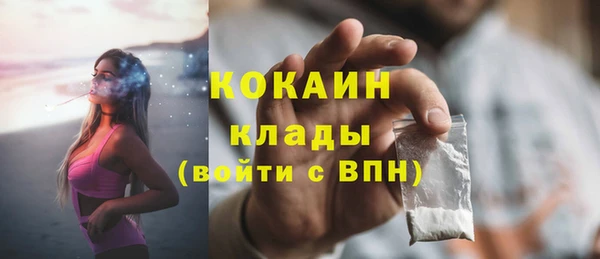 ECSTASY Алзамай