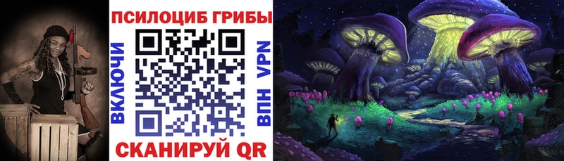 omg сайт  Жуковский  darknet телеграм  Псилоцибиновые грибы Magic Shrooms 