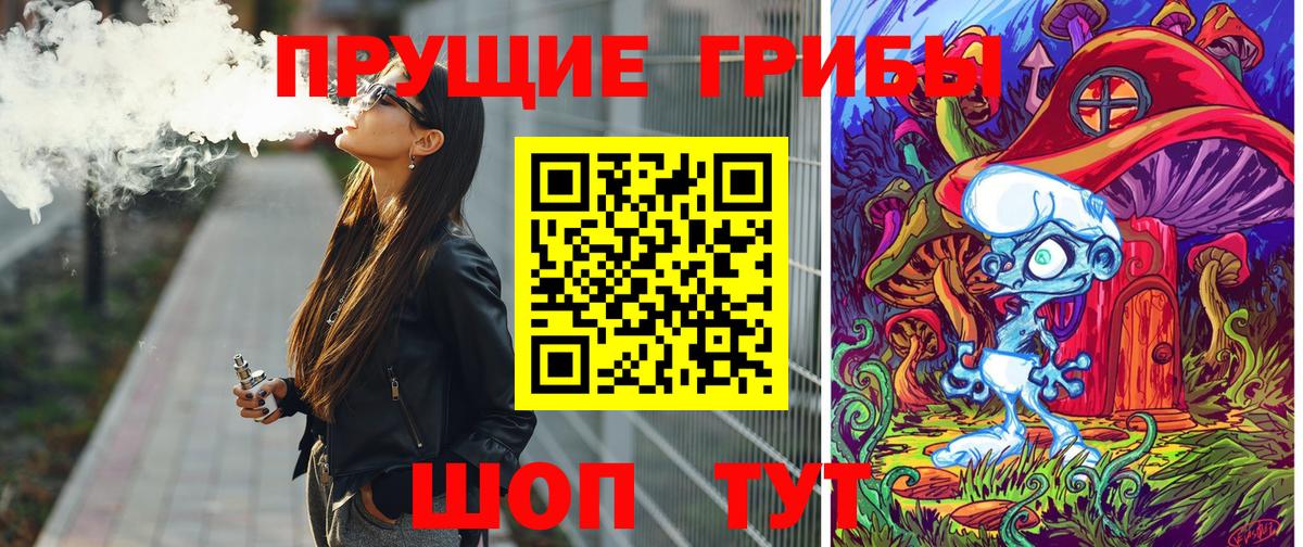 Псилоцибиновые грибы Psilocybine cubensis Жуковский