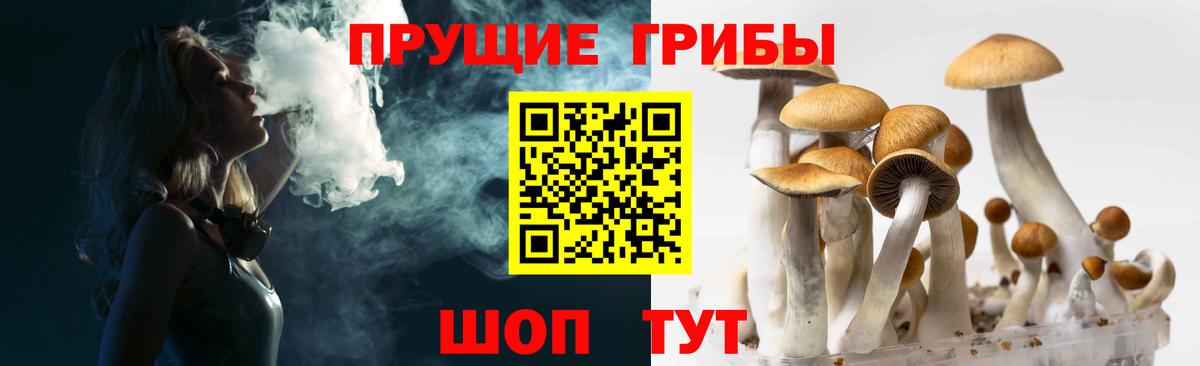 как найти   Вход с VPN  Жуковский  Псилоцибиновые грибы Psilocybe 
